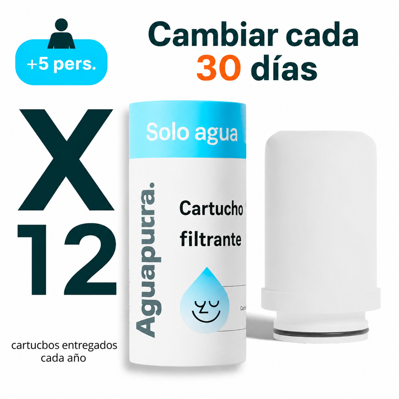 Cartuchos filtrantes Aguapuura (sin filtro)